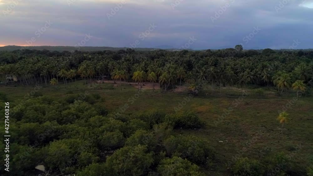Backward, drone shot - Aerial view around mangrove trees on the coast of Los Cuadritos beach, in San Cristobal Backward, drone shot - Aerial view around mangrove trees on the coast of Los Cuadritos beach, in San Cristobal