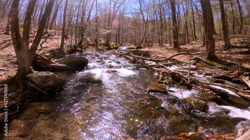  A beautiful, gentle, wide mountain stream during early spring, after snow melt, in the Appalachian mountains. This is in the Catskill mountain sub-range in New York's Hudson Valley  photo