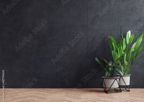 Empty room concrete wall with beautiful plants placed on the floor to the side.3d rendering.