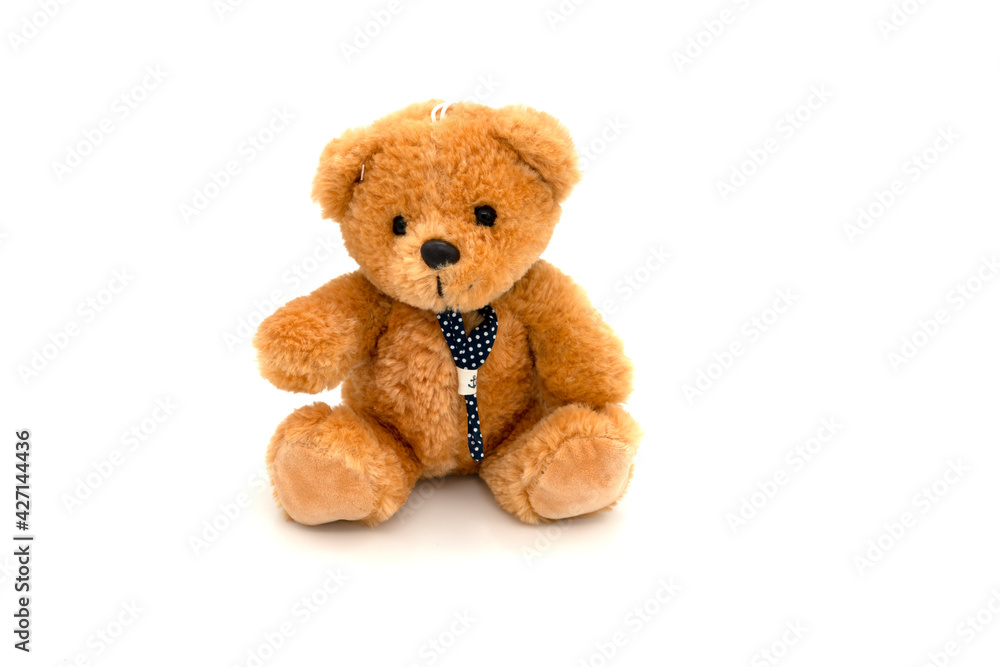 Fluffy brown teddy bear isolated on white background.