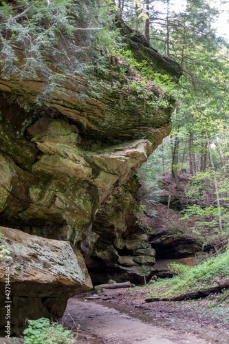 scenic walking trails at a state park called Turkey run park  located in southern Indiana USA