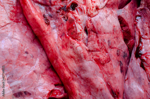Food, ingredients. Raw beef lungs, background.