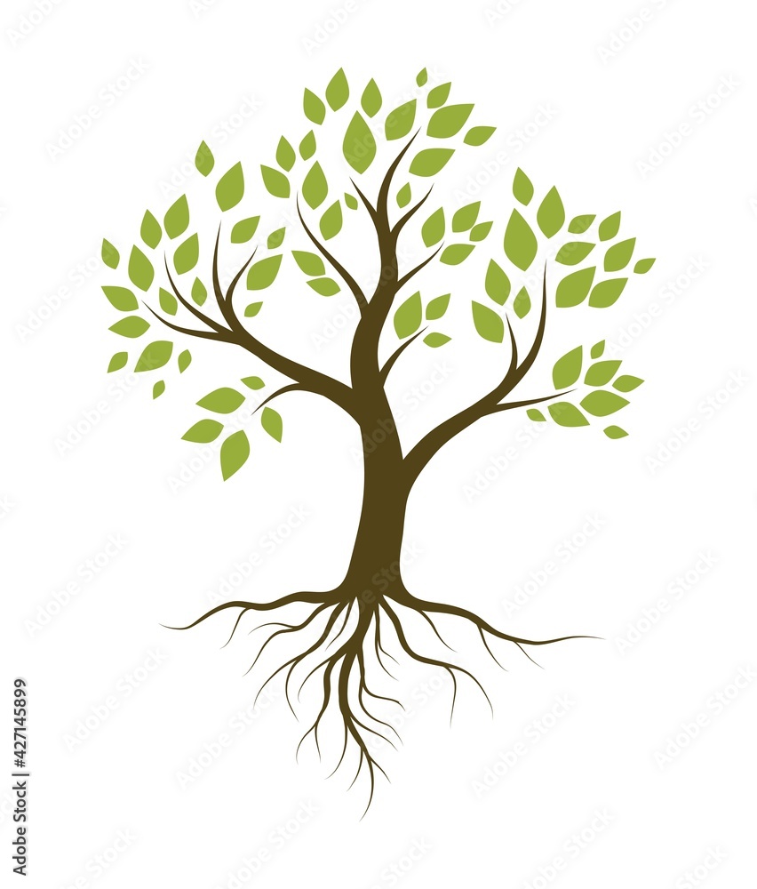 tree with green leaves and root system. color vector illustration isolated on white background tree with green leaves and root system. color vector illustration isolated on white background