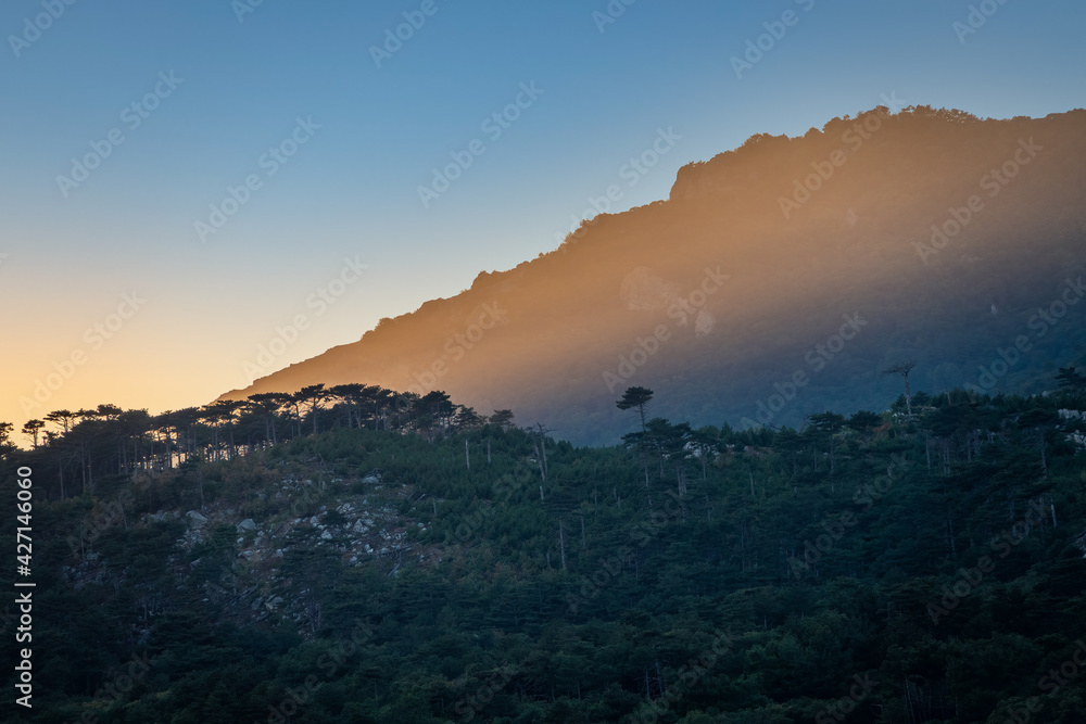 Sunset in the mountains among the green trees Sunset in the mountains among the green trees