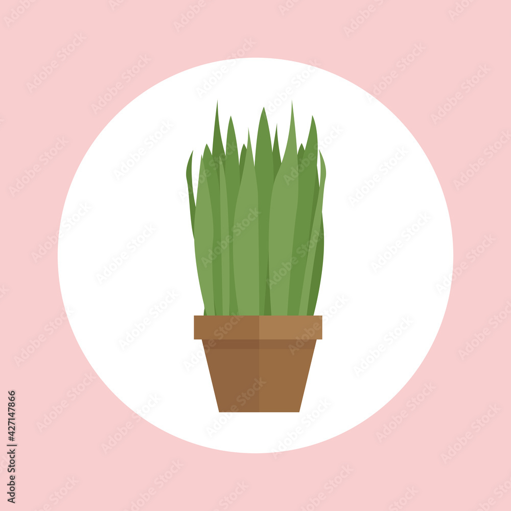 Indoor plant vector illustration with large leaves Indoor plant vector illustration with large leaves