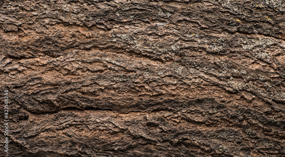 Abstract tree bark texture with high detail and volumetric light Abstract tree bark texture with high detail and volumetric light