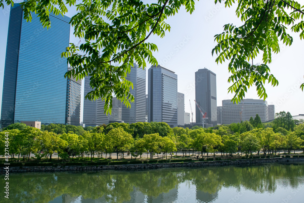 Fototapeta premium 新緑の時期の大阪