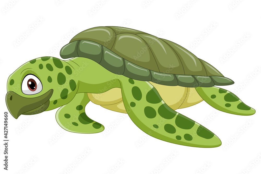 Fototapeta premium Cartoon sea turtle on white background