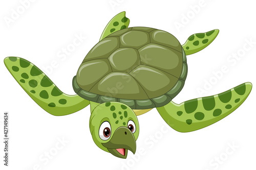 Cartoon sea turtle on white background