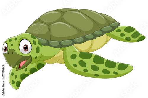 Cartoon sea turtle on white background