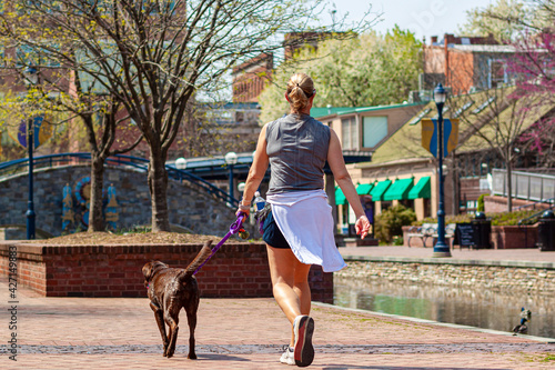 Closeup image of a young blonde woman jogging in the park while walking her dog on leash. She tied her clothes around her waist. She carries water bottle with her. A scenic city park with river.