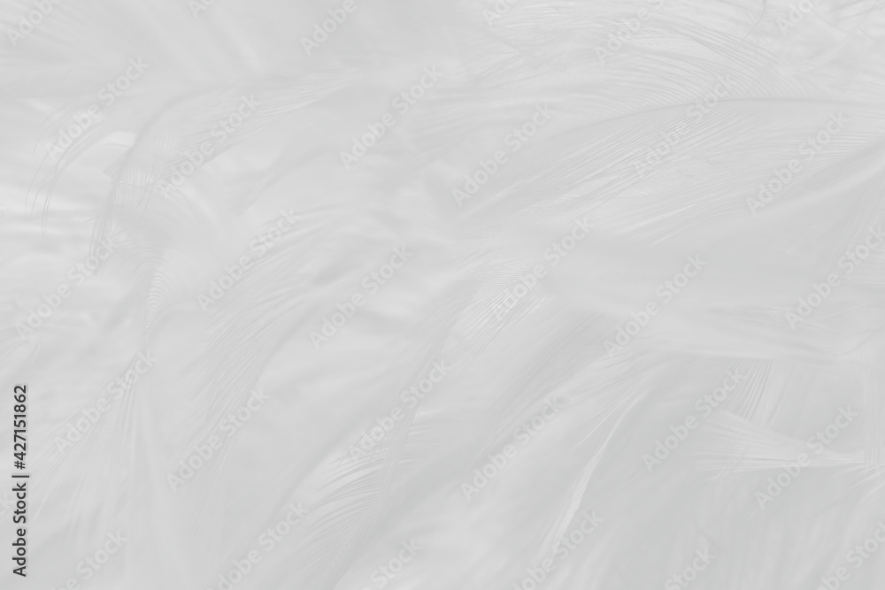 white feather wooly pattern texture background