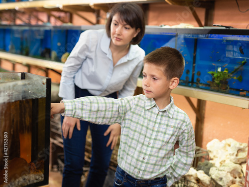 Cheerful woman with preteen son looking for aquarium fishes for in pet store..