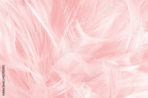 Beautiful light pink feather pattern texture background