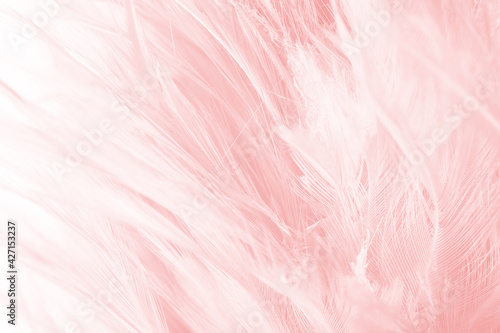 Beautiful light pink feather pattern texture background