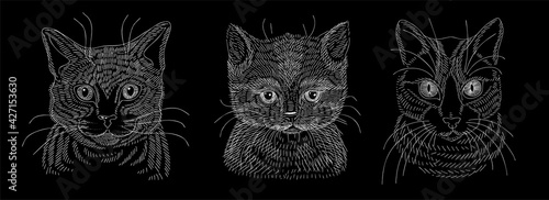 A set of illustrations of the head of a cat or kitten. A sketch drawn in white chalk on a blackboard.