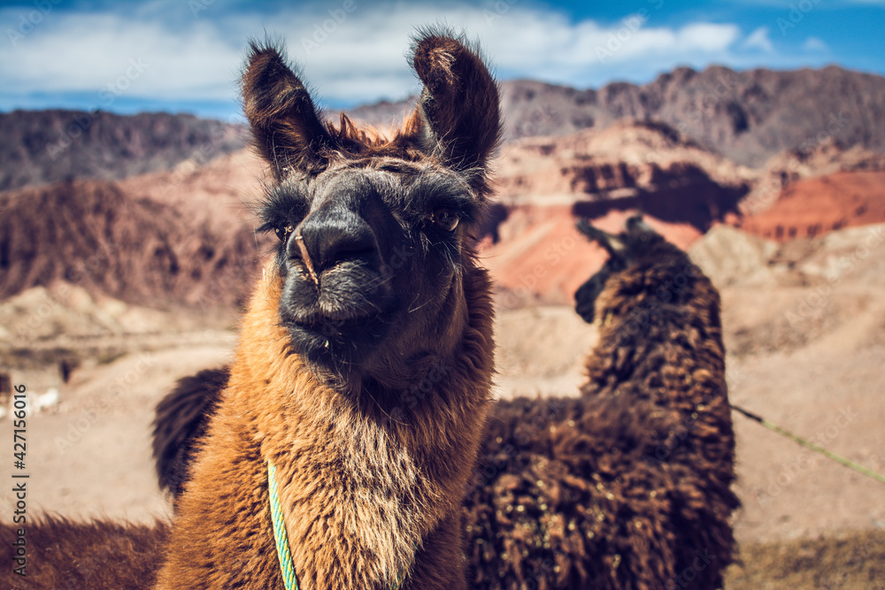 Obraz premium Jujuy - Norte Argentino