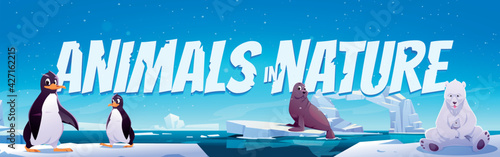 Animals in nature cartoon banner. Wild penguins, polar bear and seal sit on ice floes in sea. Antarctica or North Pole inhabitants in outdoor area, ocean. Beasts in fauna vector web footer or header
