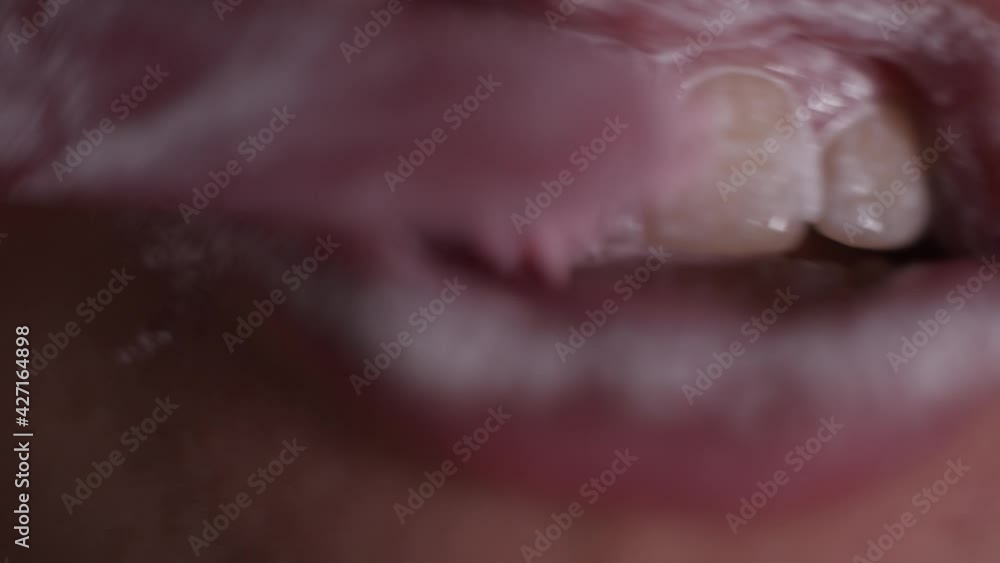 Extreme close-up view of person brushing teeth with pink toothbrush and tooth-powder. Morning hygiene. Macro view of open mouth and lips. Extreme close-up view of person brushing teeth with pink toothbrush and tooth-powder. Morning hygiene. Macro view of open mouth and lips.