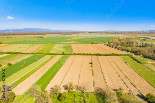 Beautiful countryside landscape in nature park Lonjsko polje  Croatia  agriculture fields in spring
