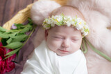 Baby girl in a wicker basket of vine decorated with burgundy peonies in a light winding and a flower wreath on her head. Spring photo. Flowers and children. Happy motherhood 
