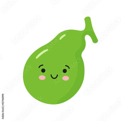 Happy healthy gallbladder. Vector isolated illustration on white background.