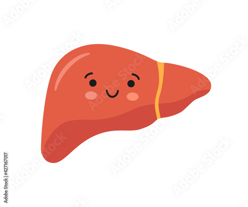 Healthy happy smiling cute liver character. Vector isolated illustration in flat and cartoon style on white background