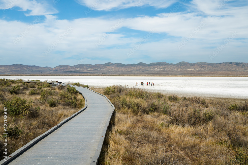 Soda Lake boardwalk, Carrizo Plain National Monument, San Luis Obispo County, California.