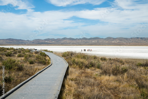 Soda Lake boardwalk  Carrizo Plain National Monument  San Luis Obispo County  California.