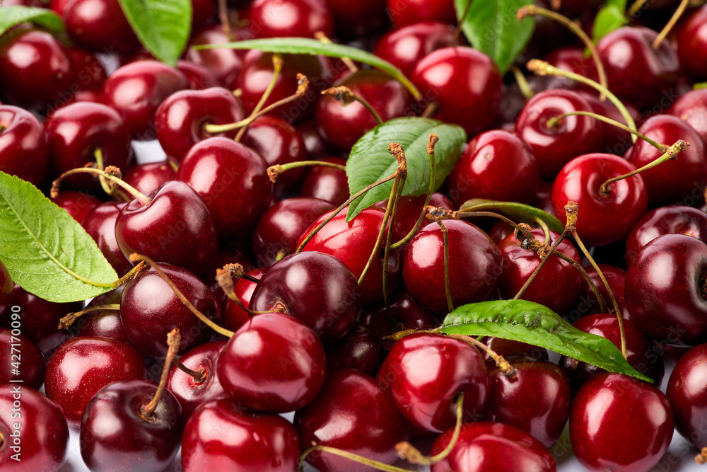 background made of sweet cherry fruits isolated on white background background made of sweet cherry fruits isolated on white background