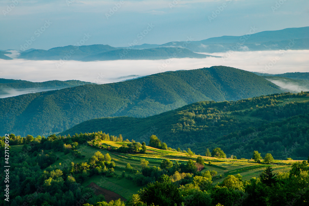 Naklejka premium mountains in the fog at sunrise. Beautiful landscape.