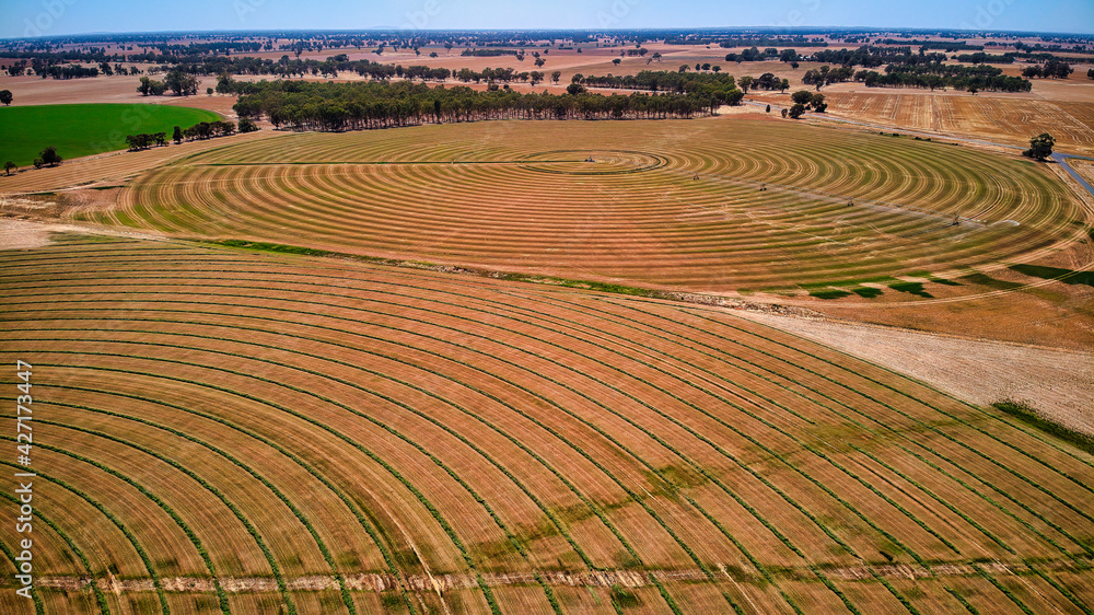 Aerial View of Centre Pivot Irrigated Paddocks