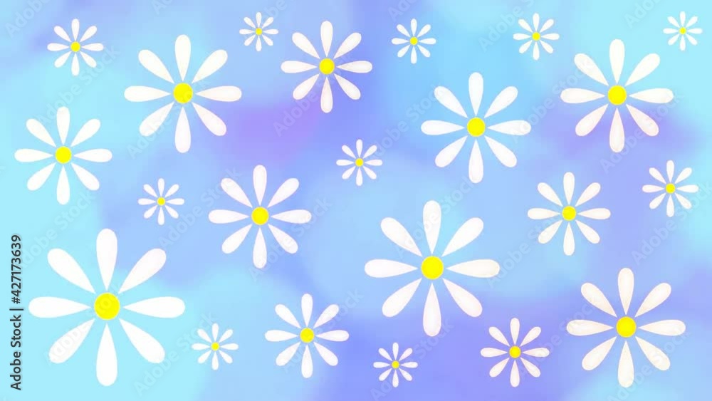 beautiful animation with daisies on a blue background beautiful animation with daisies on a blue background