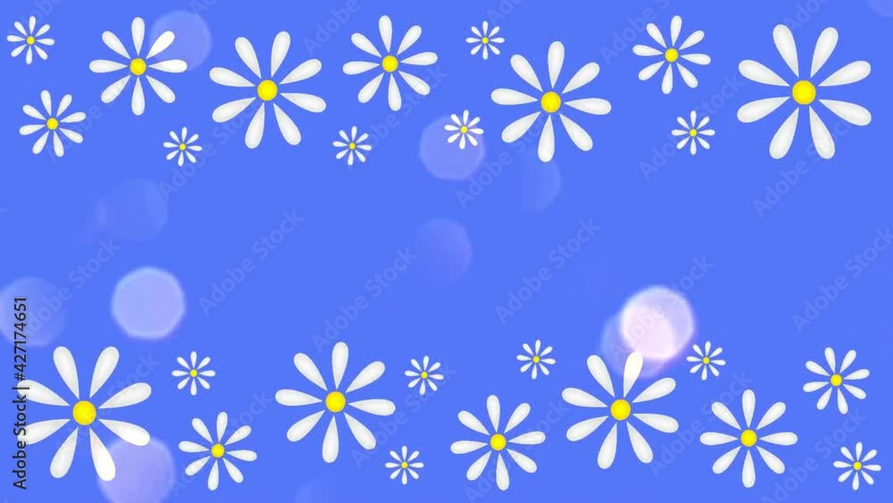beautiful animation with daisies on a blue background beautiful animation with daisies on a blue background