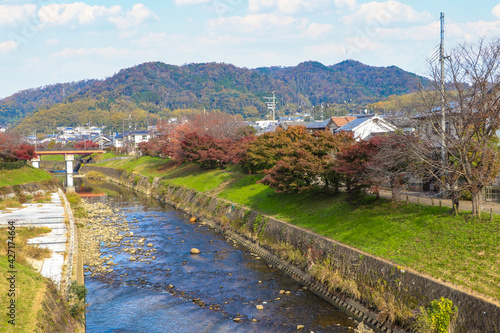 竜田川の堤防を彩る秋の紅葉