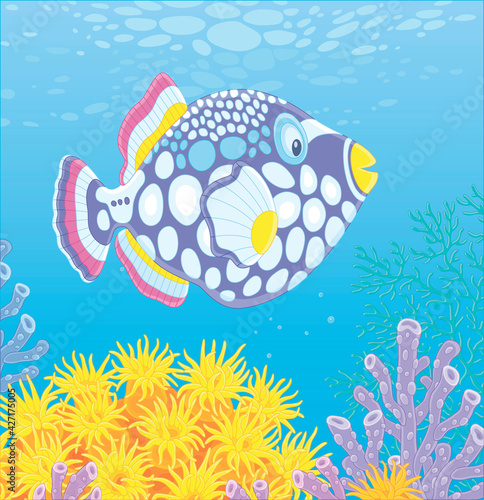 Exotic multi colored parrotfish swimming over stinging tentacles of a yellow anemone in blue water of an amazing tropical coral reef in a warm southern sea, vector cartoon illustration