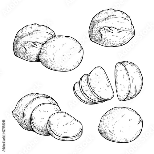 Hand drawn sketch style mozzarella cheese set. Traditional Italian soft cheese. Single, in group, whole and sliced, top view. Vector illustrations isolated on white background.