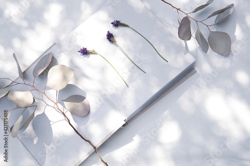 自然光と植物の影が差し込む、白のファブリックに置かれた本