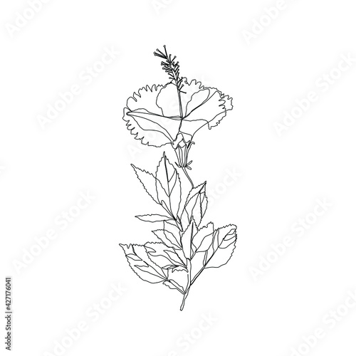 Flower continuous line drawing  tattoo  print for clothes and logo design  beautiful blooming flower silhouette single line on a white background  isolated vector illustration.