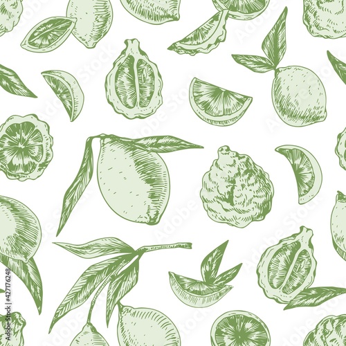 Seamless pattern with limes, bergamots and leaves on white background. Design of endless repeatable texture with green citrus fruits. Hand-drawn colored vector illustration for printing and decoration photo