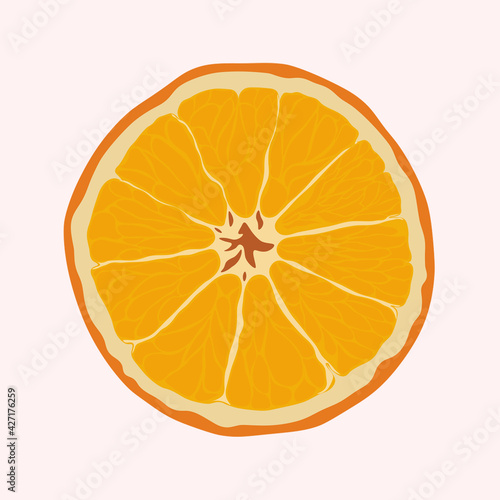  Illustration of an orange, cut view