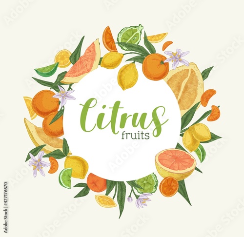 Card template design with circle-shaped frame of mixed citrus fruits. Hand-drawn swirl with tropical oranges, lemons, bergamot, pomelo, tangerines and limes. Colored vector illustration