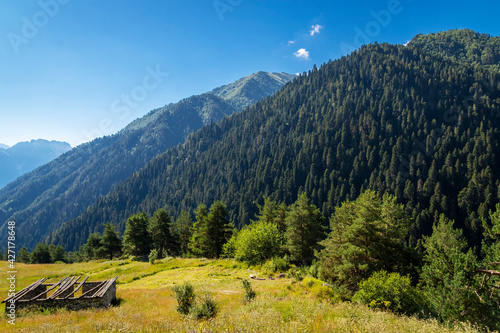 Beautiful mountain landscape in summer © Svetlana Rapteva