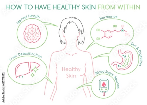 Skin health horizontal poster. Useful medical infographic.