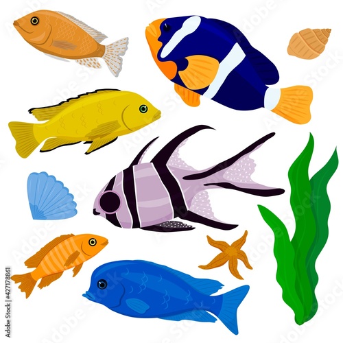Vector collection of colorful exotic fish. A set of tropical fish isolated on a white background.