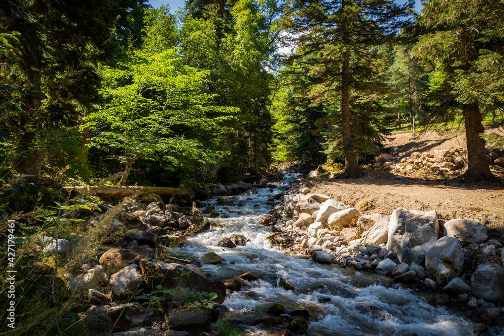 Mountain river in the middle of a beautiful forest Mountain river in the middle of a beautiful forest