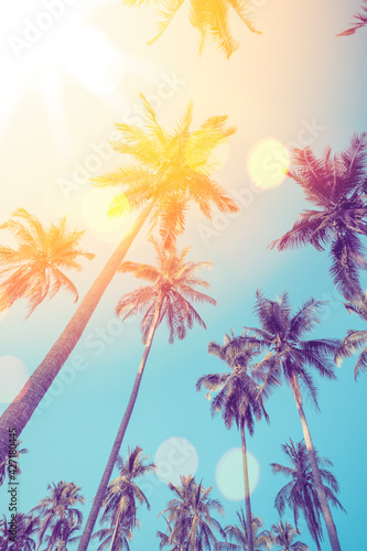 Tropical palm tree with sun light on sunset sky and cloud with colorful bokeh abstract background.
