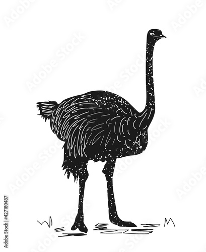 Hand drawn silhouette of ostrich
