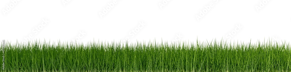 Fototapeta premium Green grass border or edge wide banner isolated on white, ecology, spring or gardening template element, 3D illustration
