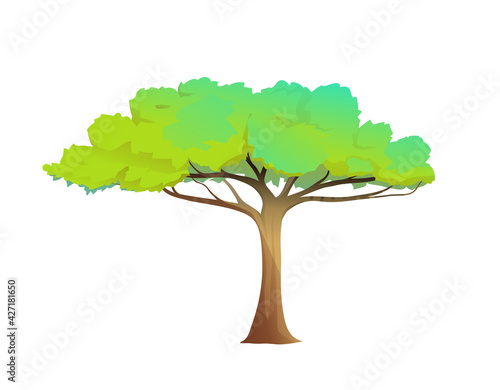 Cartoon tree alone in African style with wide green crown isolated on white. Vector clipart illustration in watercolor style.